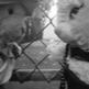 KITTY NOIR MOVIES Film Short Series A tired detective A mysterious briefcase A cat who knows more than she says Click Here to Learn more